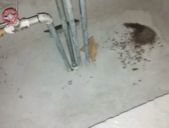 佛坪卫生间测漏水价格明细